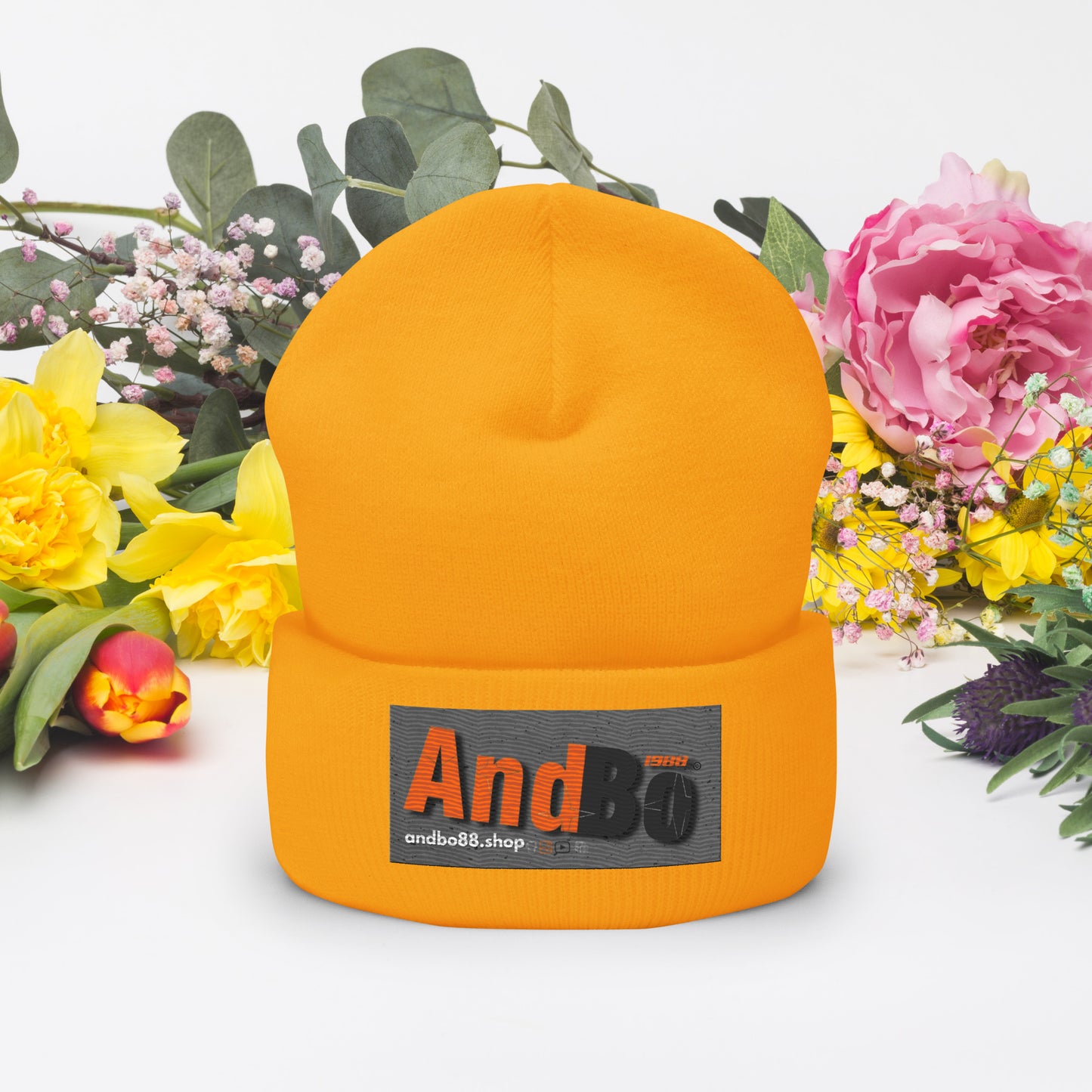 01-00 Andbo88 Cuffed Beanie