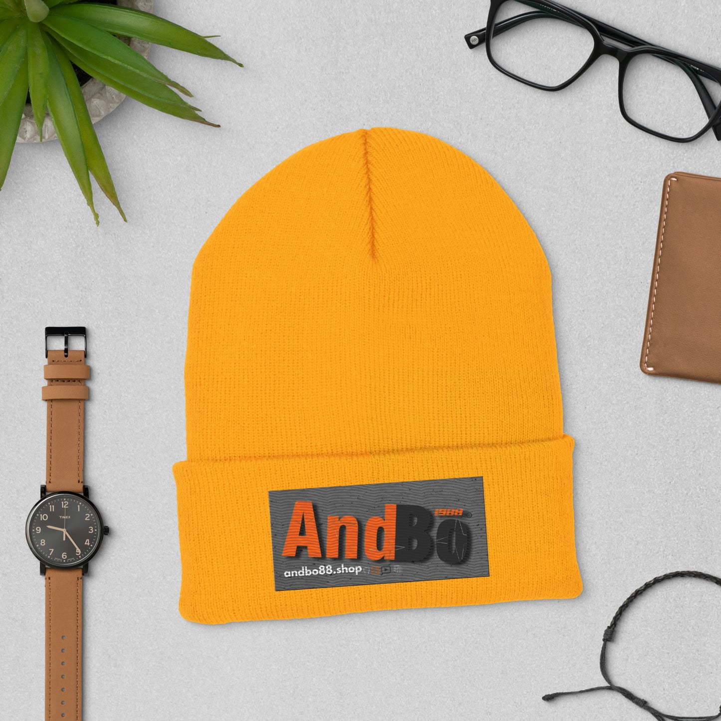 01-00 Andbo88 Cuffed Beanie