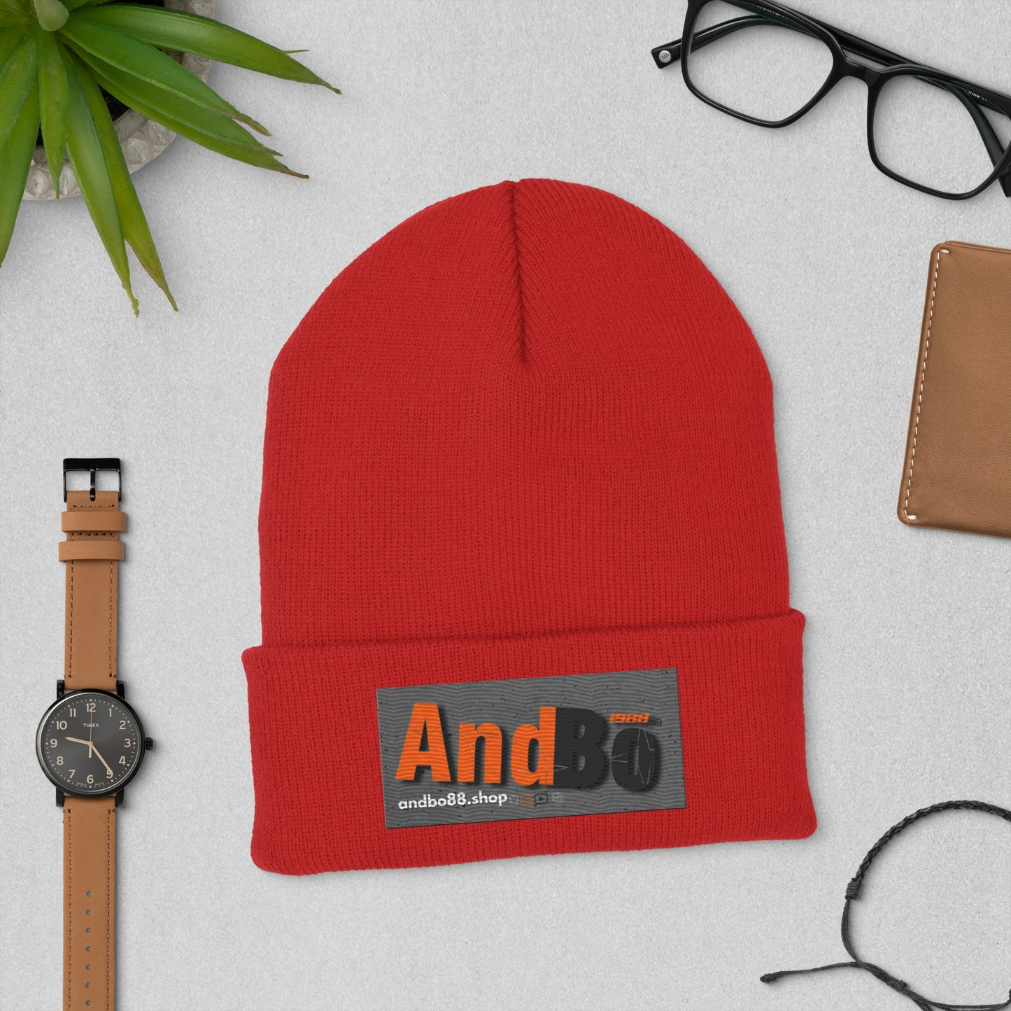 01-00 Andbo88 Cuffed Beanie