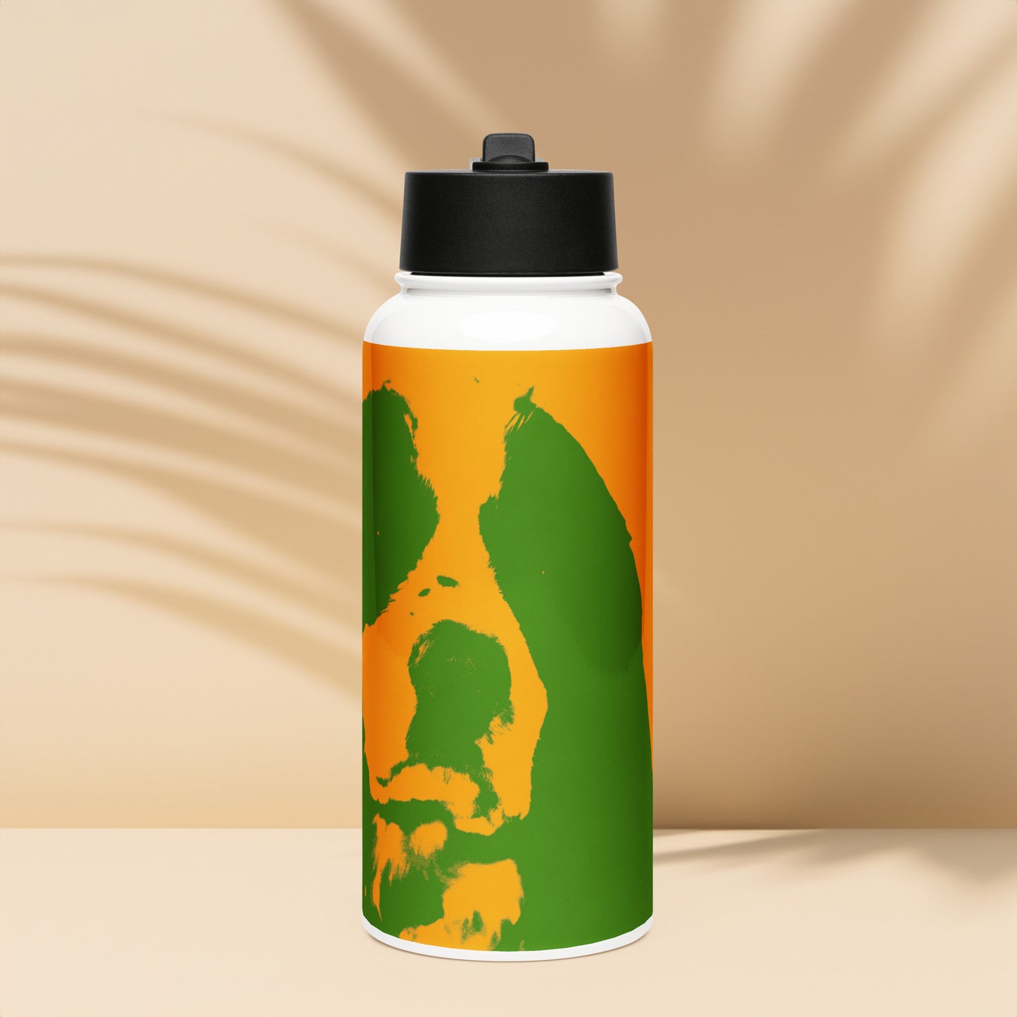 00-01 BoB-Dog Stainless steel water bottle with a straw lid